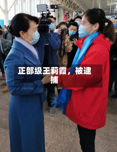 正部级王莉霞，被逮捕-第2张图片