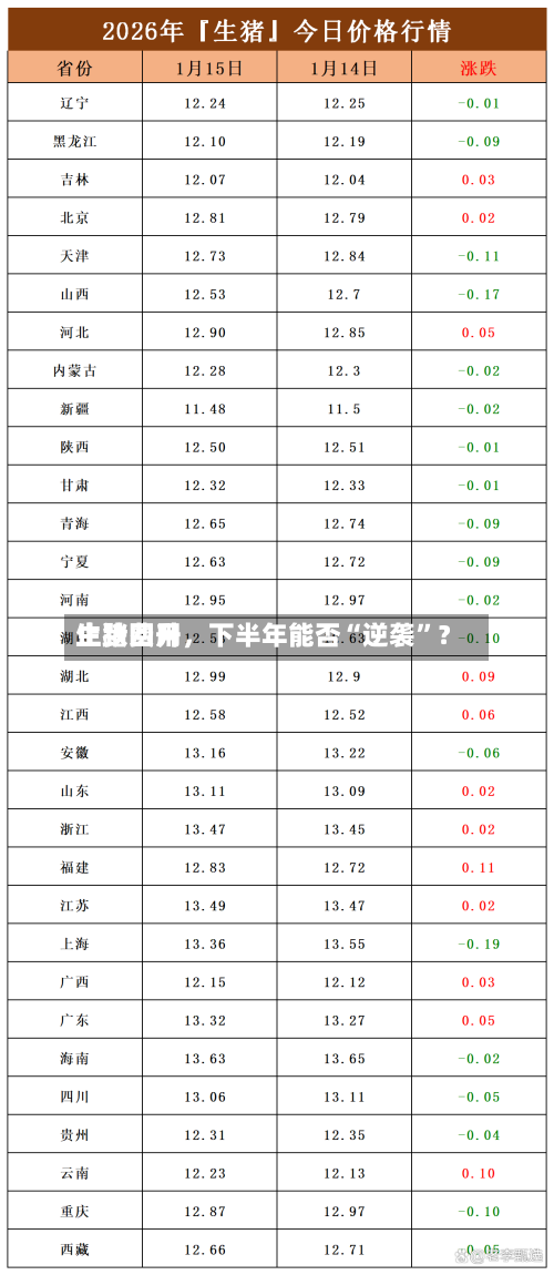 生猪费用止跌回升，下半年能否“逆袭	”？-第2张图片