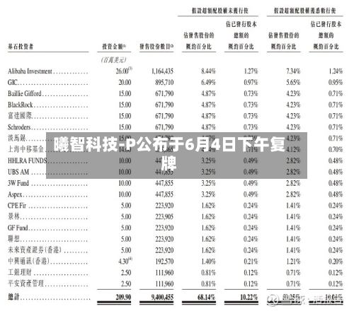 曦智科技-P公布于6月4日下午复牌