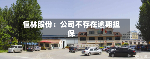 恒林股份：公司不存在逾期担保